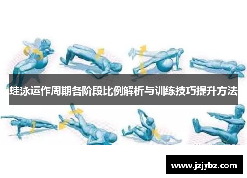 蛙泳运作周期各阶段比例解析与训练技巧提升方法