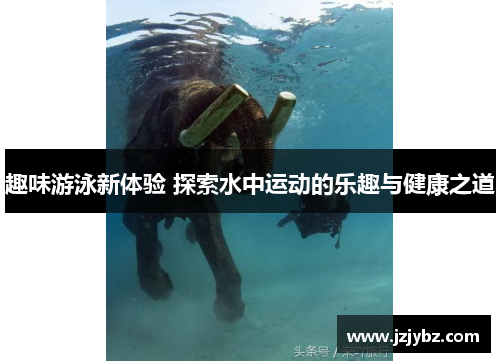 趣味游泳新体验 探索水中运动的乐趣与健康之道