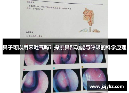 鼻子可以用来吐气吗？探索鼻部功能与呼吸的科学原理